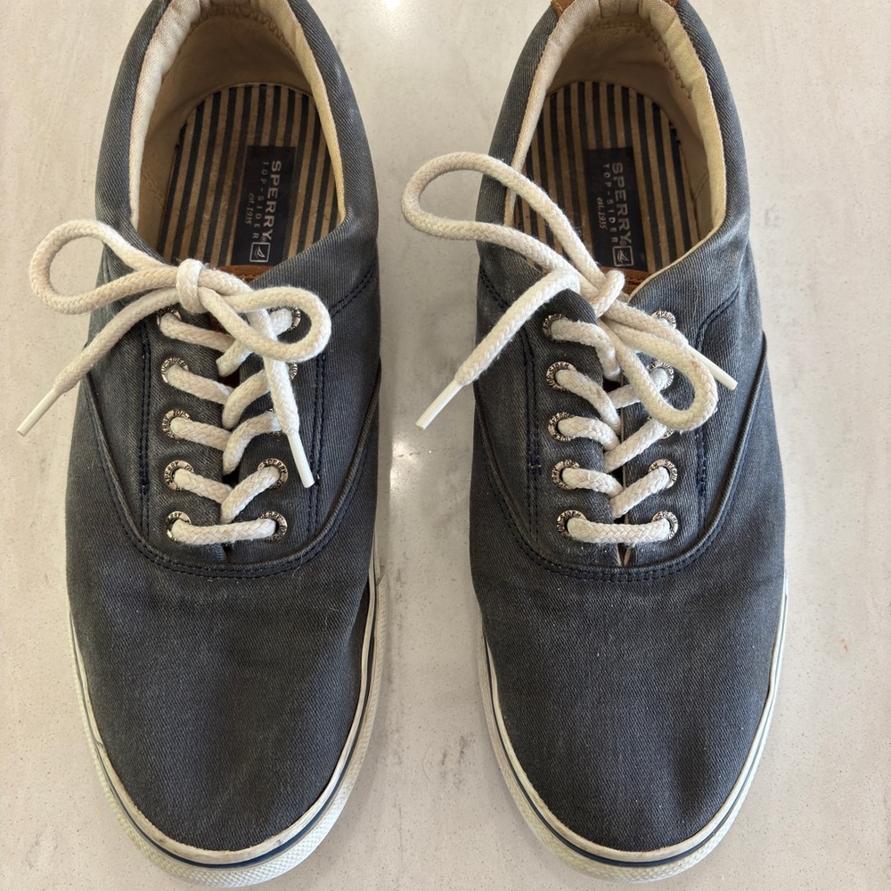 Sperry Men's Gray Canvas Shoes